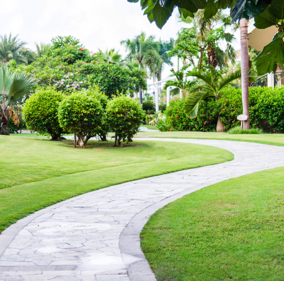 Concrete walkway installation Spring TX